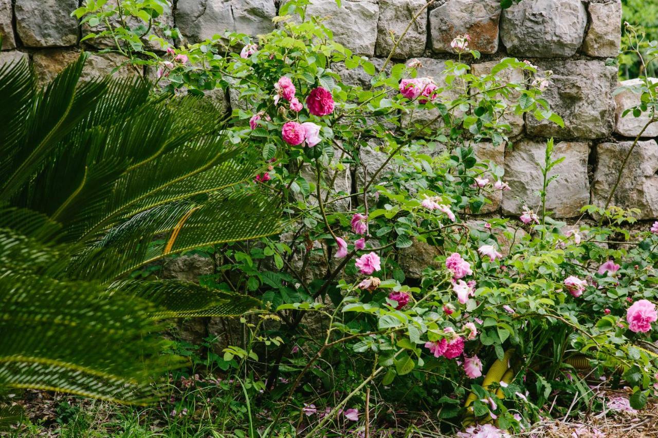 Dubravka Apartmani โมโกชิซา ภายนอก รูปภาพ