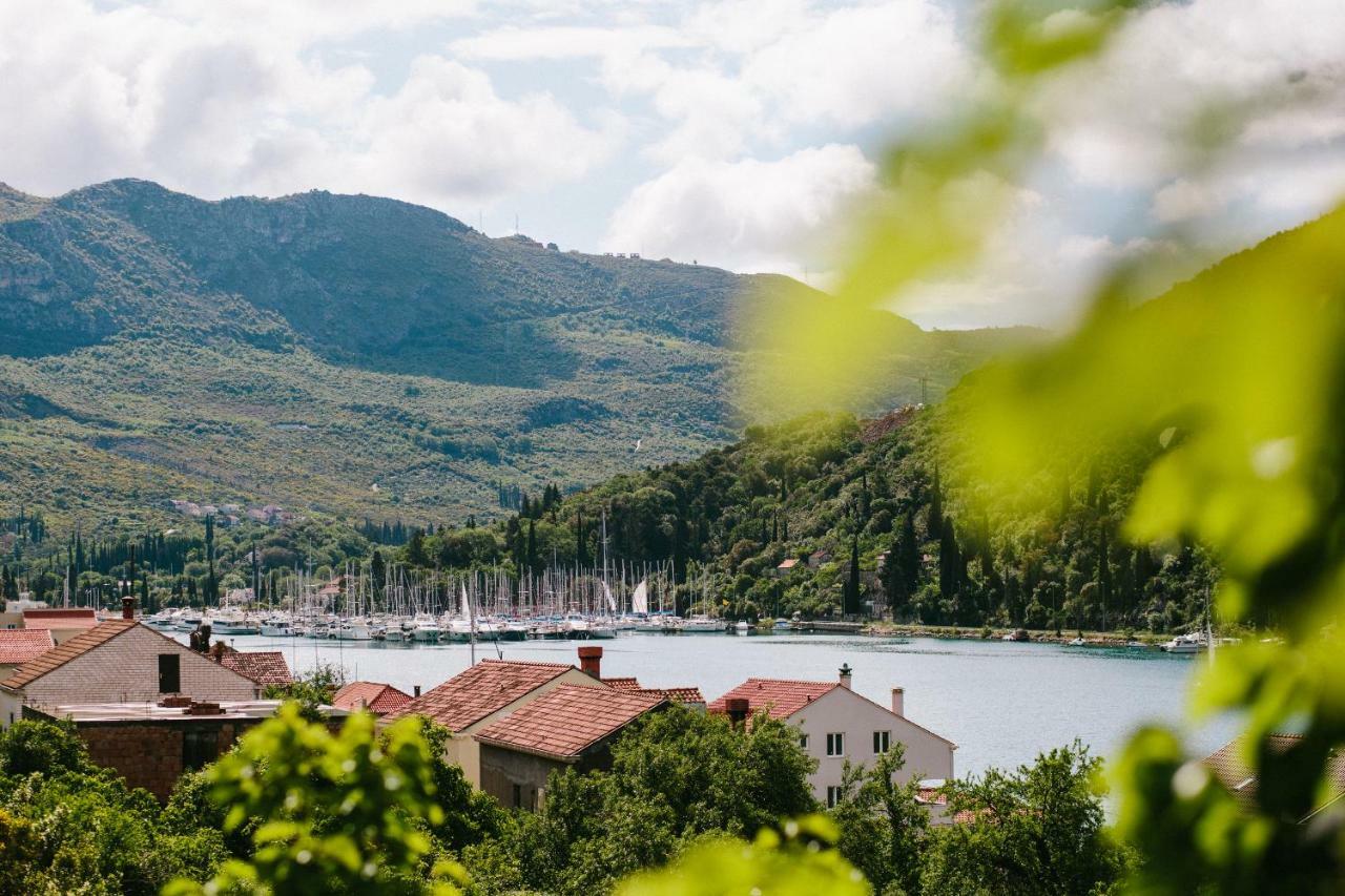 Dubravka Apartmani โมโกชิซา ภายนอก รูปภาพ